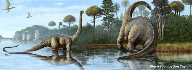 Image of two brontosaurus walking through water along the tree line used as reference