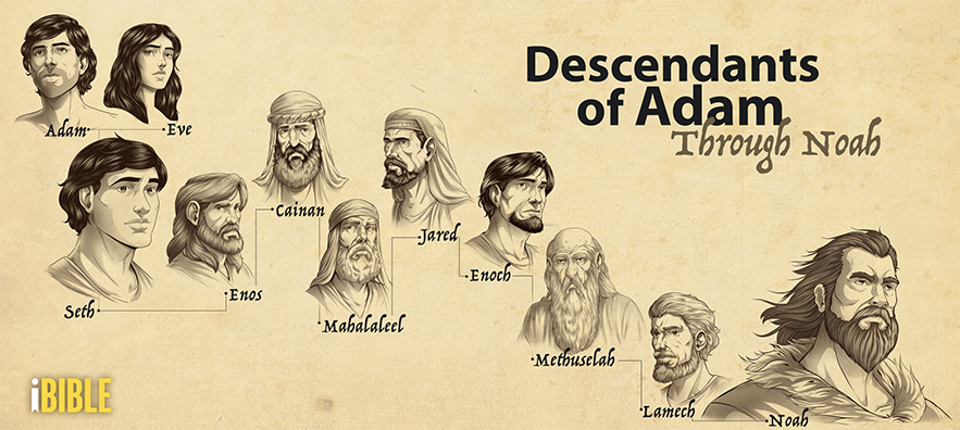 iBIBLE image of the descendants of Adam through Noah