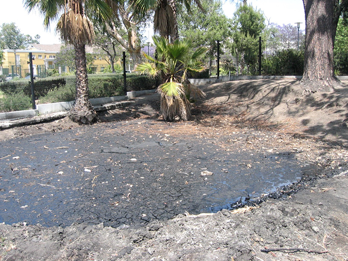 Image 3 of an actual tar pit